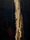 Redwood, dark palette — xylem vessels