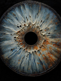Iris Blue Rust — Dark palette, 18 x 24 in float framed canvas