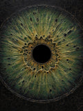 Iris Green — Dark palette, 18 x 24 in float framed canvas