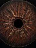 Iris Mahogany — Dark palette, 18 x 24 in float framed canvas