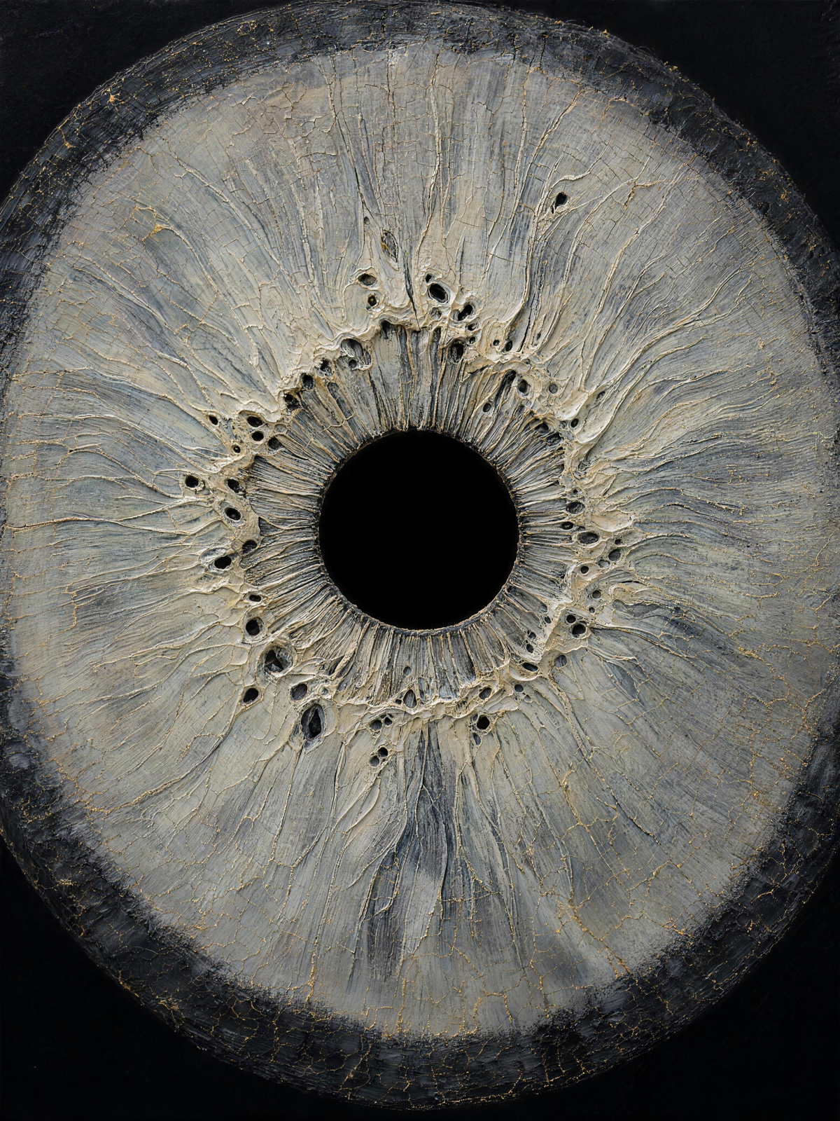 Iris Silver — Dark palette, 18 x 24 in float framed canvas