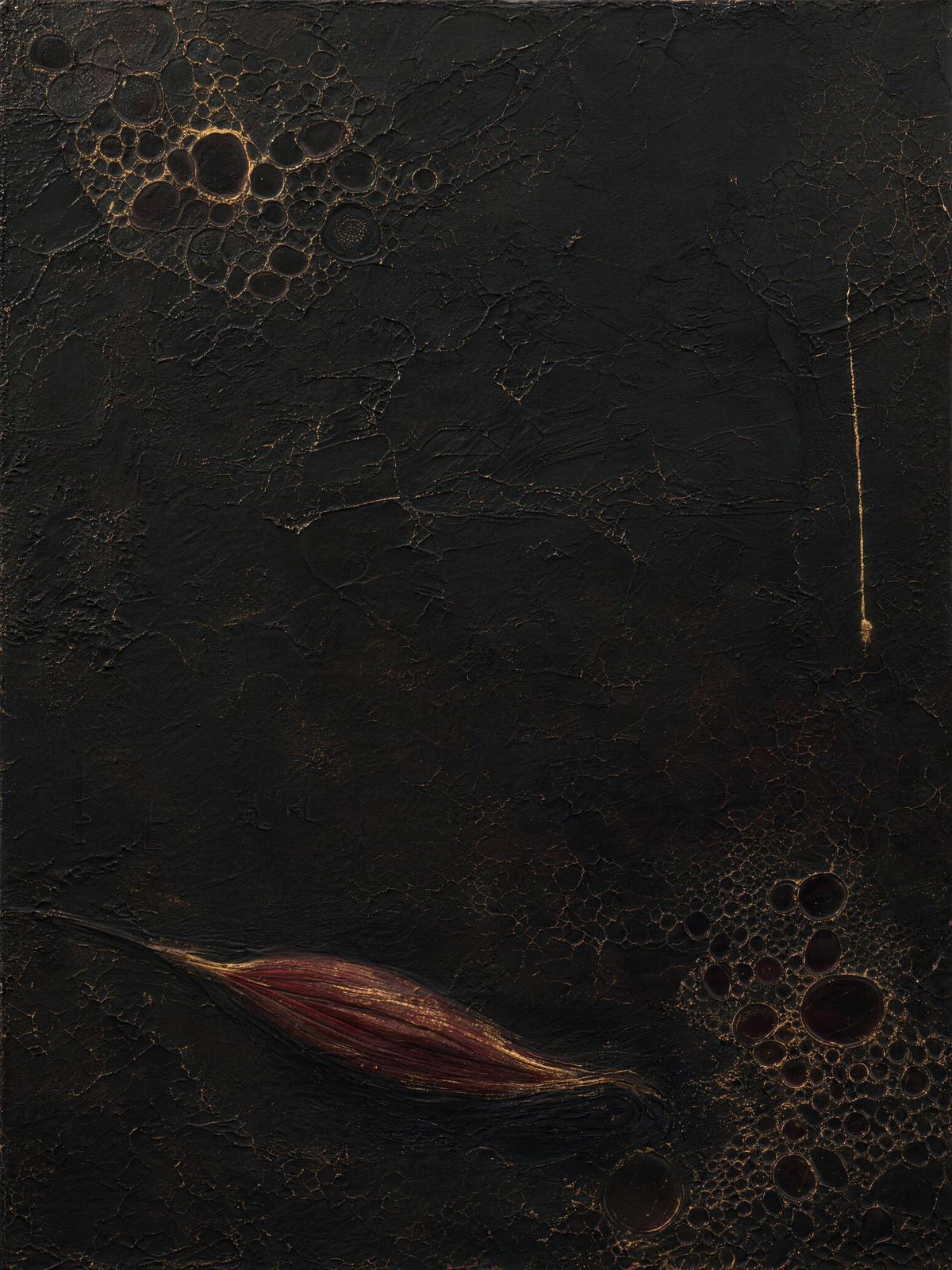 Muscles III — Dark palette, 18 x 24 in float framed canvas