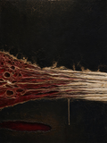 Muscles V — Dark palette, 18 x 24 in float framed canvas